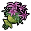 Flowers - Lillies