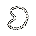 "Pearl necklace illustration"