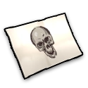 "Tattoo drawing - Skull illustration"