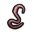 Worm icon.png