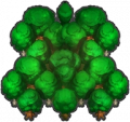 Forest icon.png