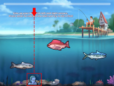 Fishing Aqua illustration